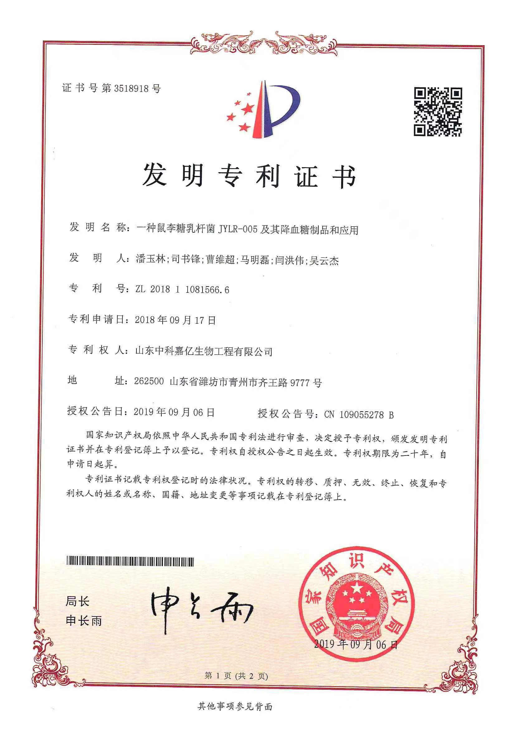 发明专利