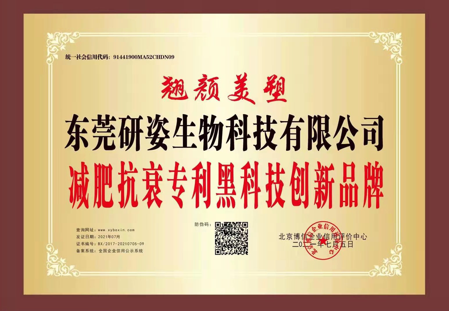荣誉证书